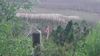 2 Planting Hammock Rd photo